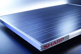 Close-up of a Sharp solar panel with sunlight reflecting off its  surface.